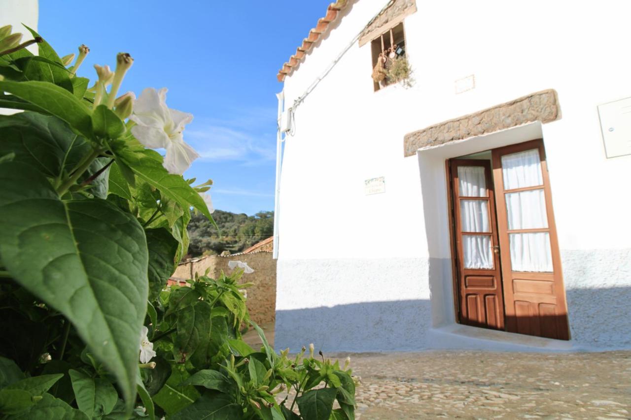 La Casita Del Chopo By Sierra Viva (adults Only) *